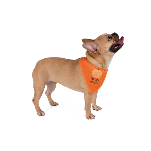 Hey There Pumpkin! Pet Bandana