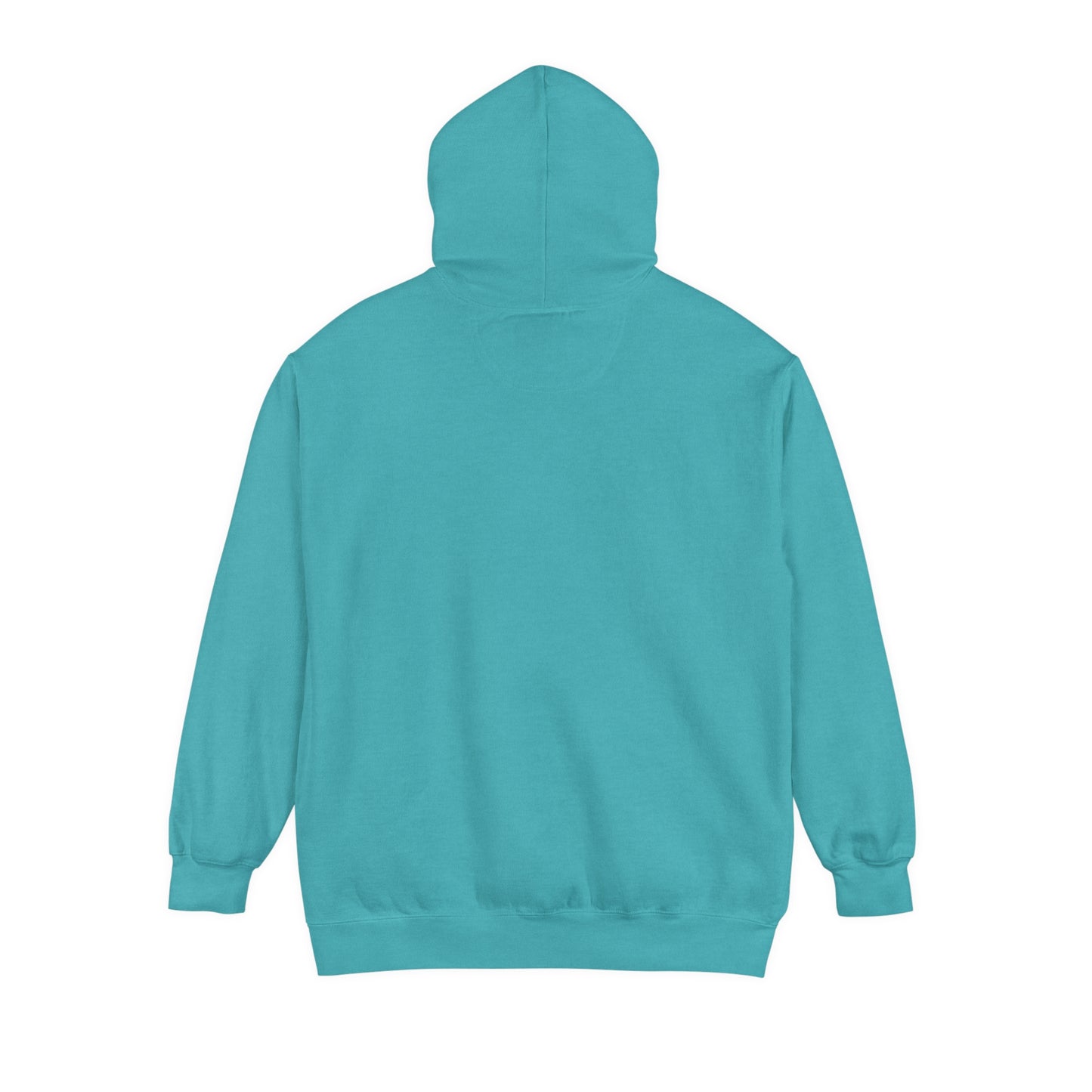 It's Time to get lit! Hoodie